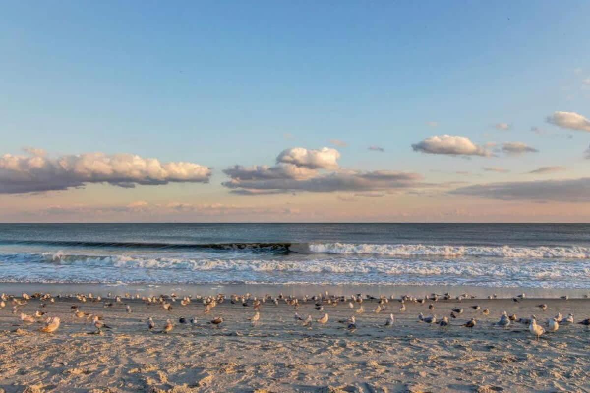 *Oceanfront Sun & Fun*Queen Beds*Pools*Hot Tubs*More*B118 Μιρτλ Μπιτς Εξωτερικό φωτογραφία